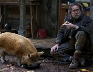 Pig
