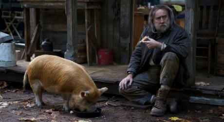 Pig Pig