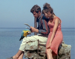 Pierrot le Fou
