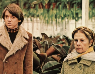 Harold et Maud